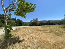 Enlarge photo 59