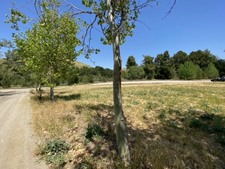 Enlarge photo 54