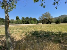 Enlarge photo 50