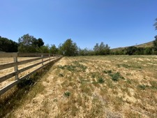 Enlarge photo 63