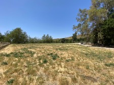 Enlarge photo 55
