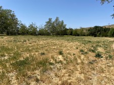 Enlarge photo 51