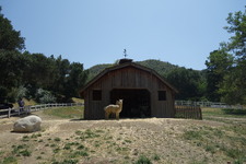Enlarge photo 3