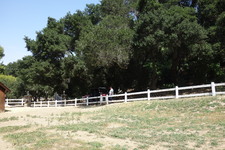 Enlarge photo 13