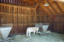 Enlarge photo 12