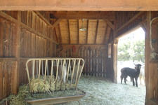 Enlarge photo 14