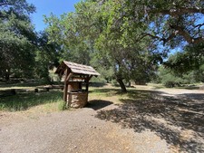 Enlarge photo 67
