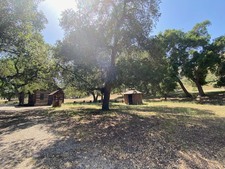 Enlarge photo 72