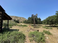 Enlarge photo 77
