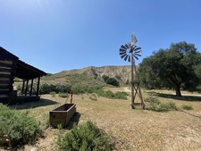 Enlarge photo 78