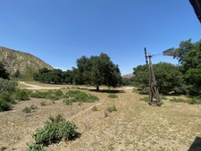 Enlarge photo 86