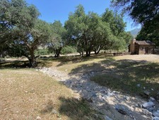 Enlarge photo 90