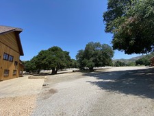 Enlarge photo 111