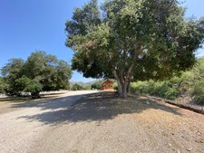 Enlarge photo 112