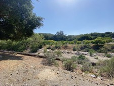 Enlarge photo 113