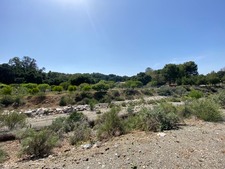 Enlarge photo 114