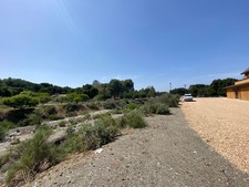 Enlarge photo 115