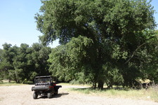 Enlarge photo 2