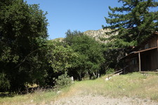 Enlarge photo 3