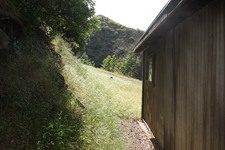 Enlarge photo 26
