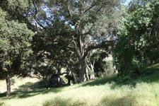 Enlarge photo 27