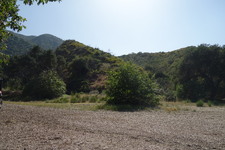 Enlarge photo 30