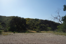 Enlarge photo 31
