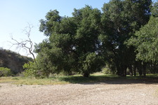 Enlarge photo 32