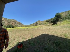 Enlarge photo 41