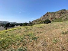 Enlarge photo 47