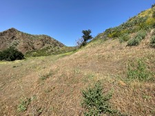 Enlarge photo 48