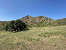 Enlarge photo 49