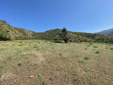 Enlarge photo 51