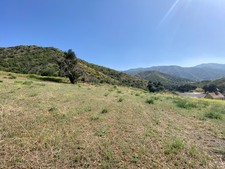 Enlarge photo 52