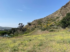 Enlarge photo 59