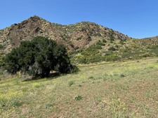 Enlarge photo 61
