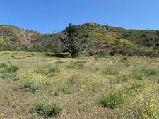 Enlarge photo 62