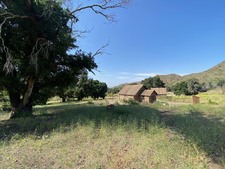 Enlarge photo 69
