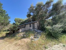 Enlarge photo 81