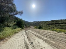 Enlarge photo 82