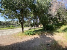 Enlarge photo 90
