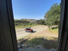 Enlarge photo 99
