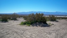 El Mirage Dry Lake