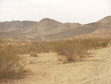 Enlarge photo 23