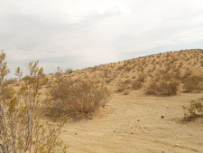 Enlarge photo 25