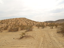 Enlarge photo 26