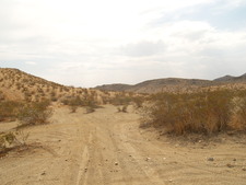 Enlarge photo 27