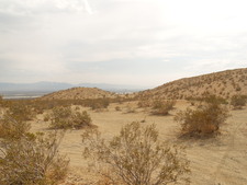 Enlarge photo 29
