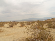 Enlarge photo 30