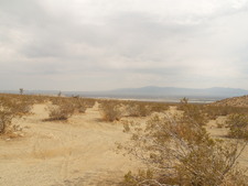 Enlarge photo 32